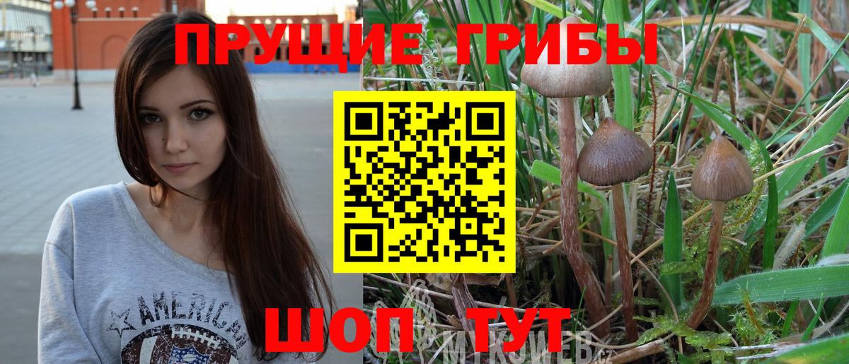 Псилоцибиновые грибы мицелий Уфа