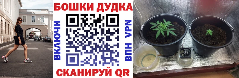 Бошки Шишки гибрид  Уфа 